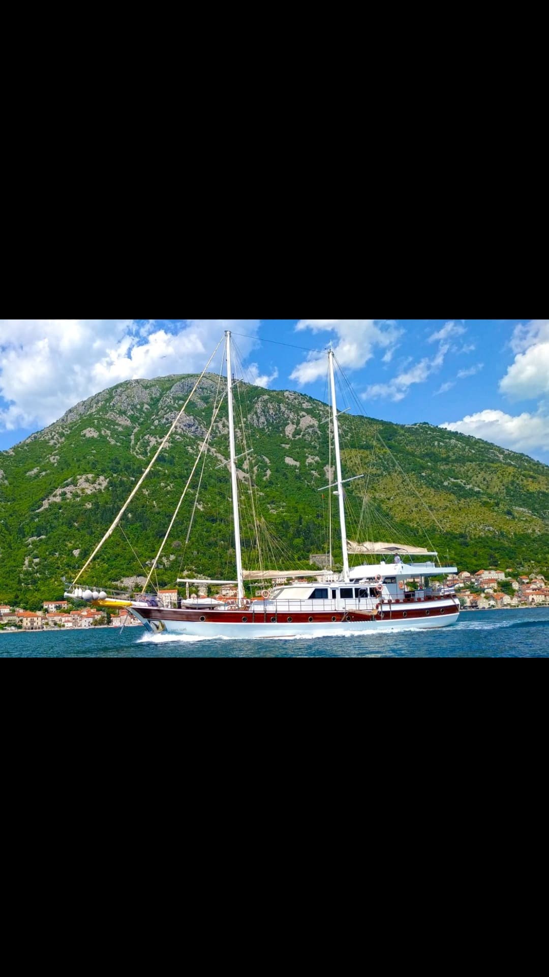 WHITE SWAN view 8
