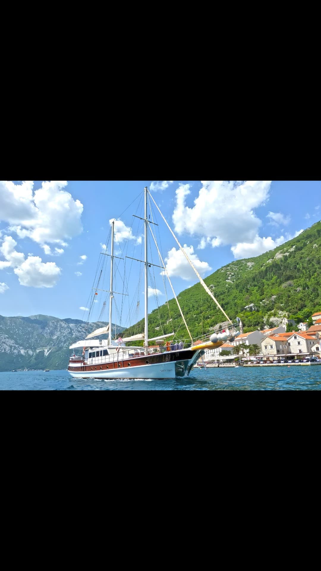WHITE SWAN view 9