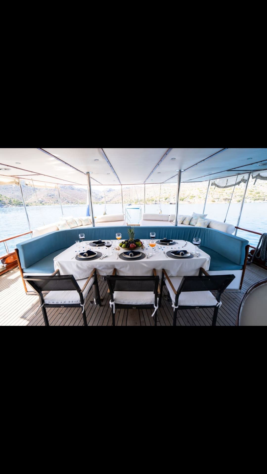 WHITE SWAN view 24