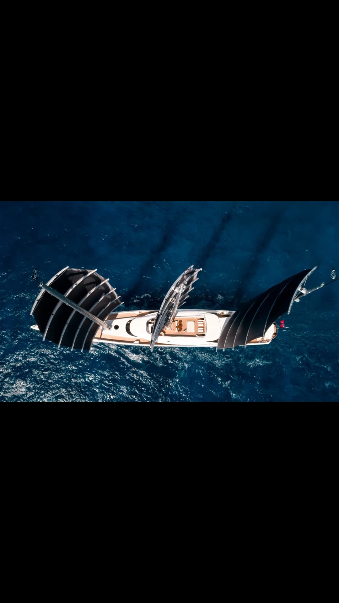 Black Pearl view 6