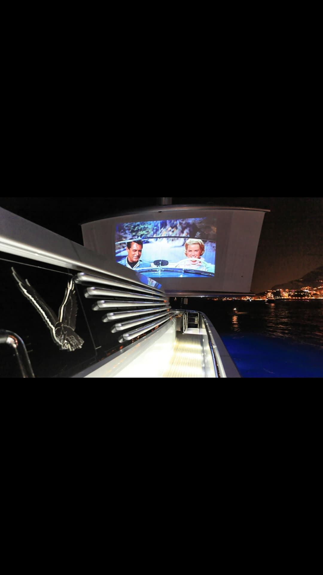 MALTESE FALCON view 20