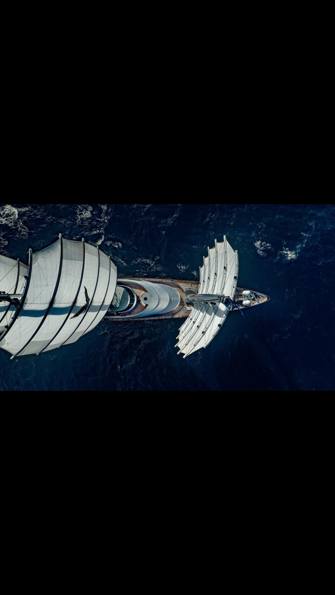 MALTESE FALCON view 6