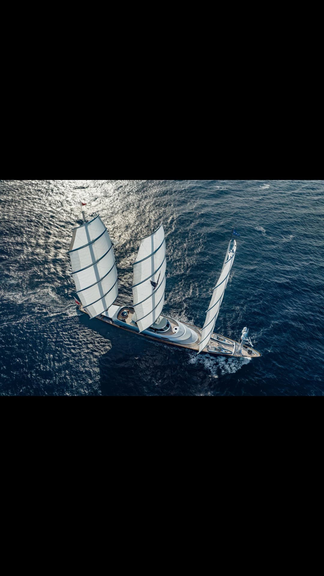 MALTESE FALCON view 2