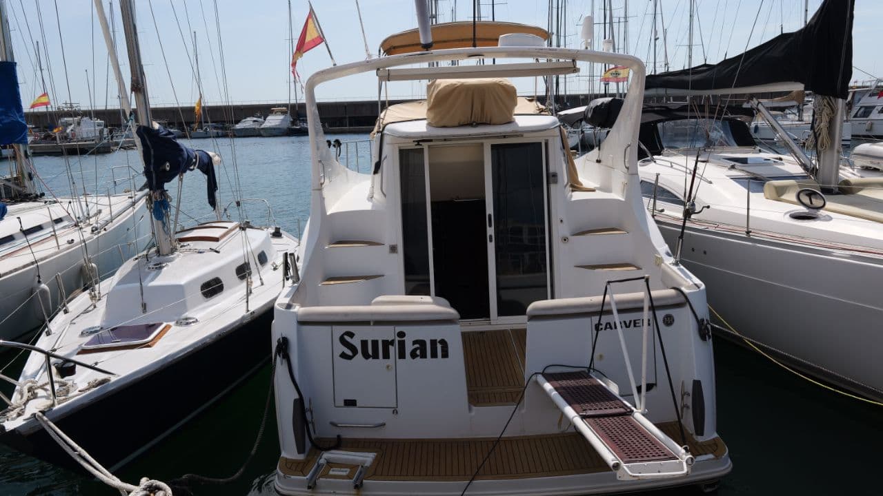 SURIAN view 20