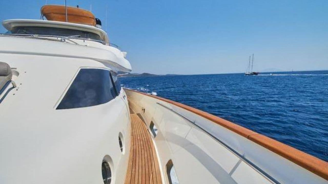 FELIX view 10