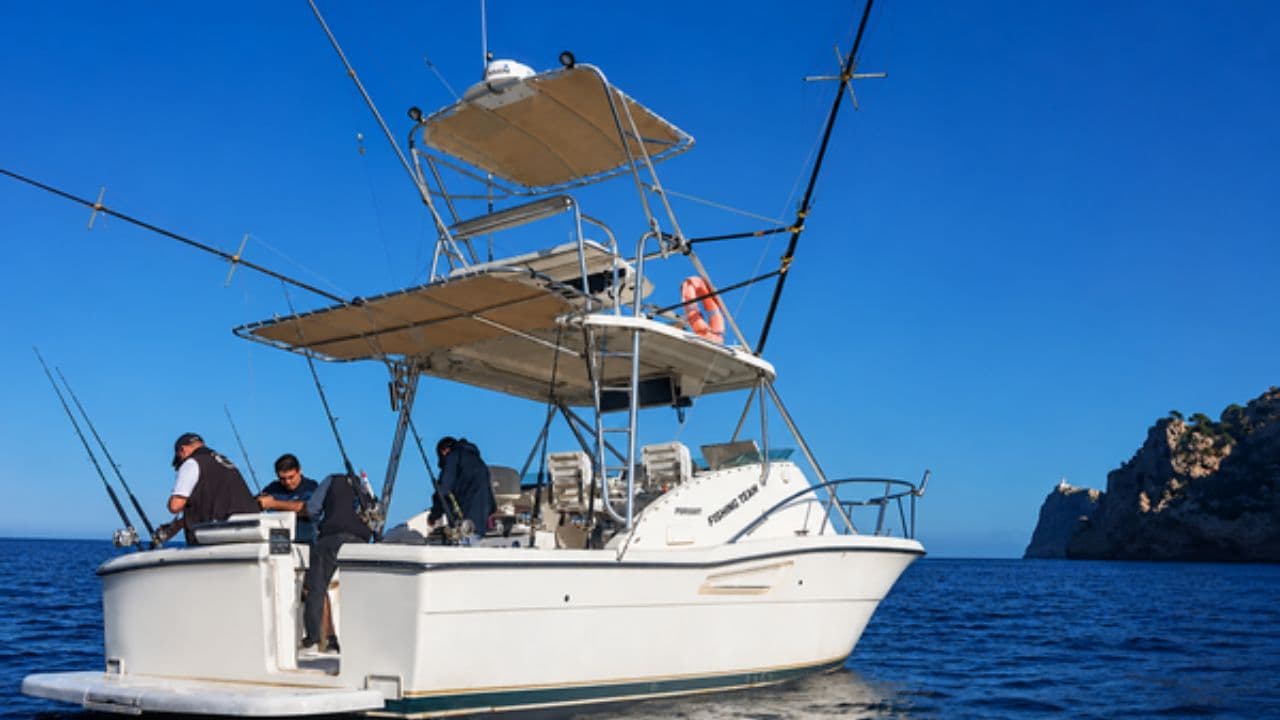 Pursuit 3000 Offshore view 2