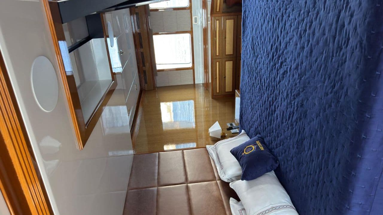 METEOR view 10